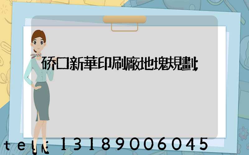硚口新華印刷廠地塊規劃